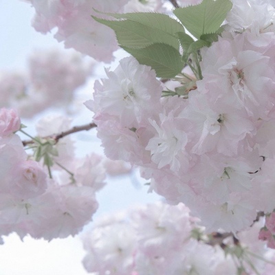 黑河FurryQQ群介绍